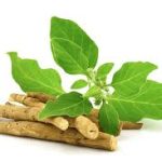 Emerging Technologies in Nutraceutical Research and Development Emerging Technologies in Nutraceutical Research and Development